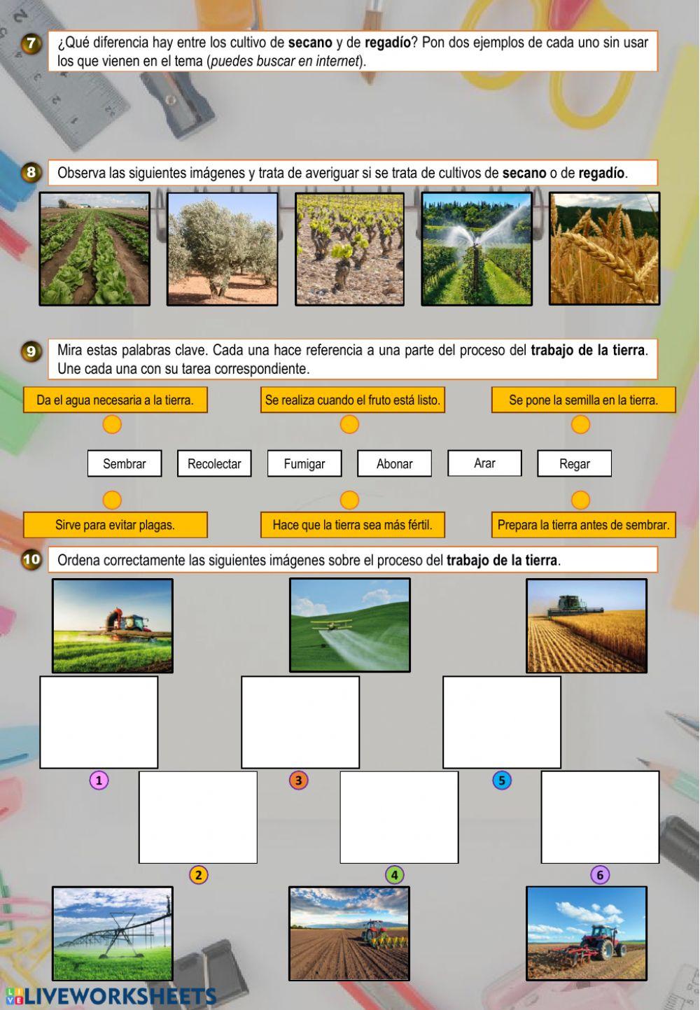 Actividades sector primario 1
