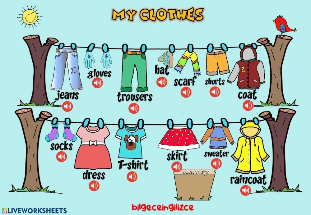 My Clothes (Listening) My Clothes (Listening)