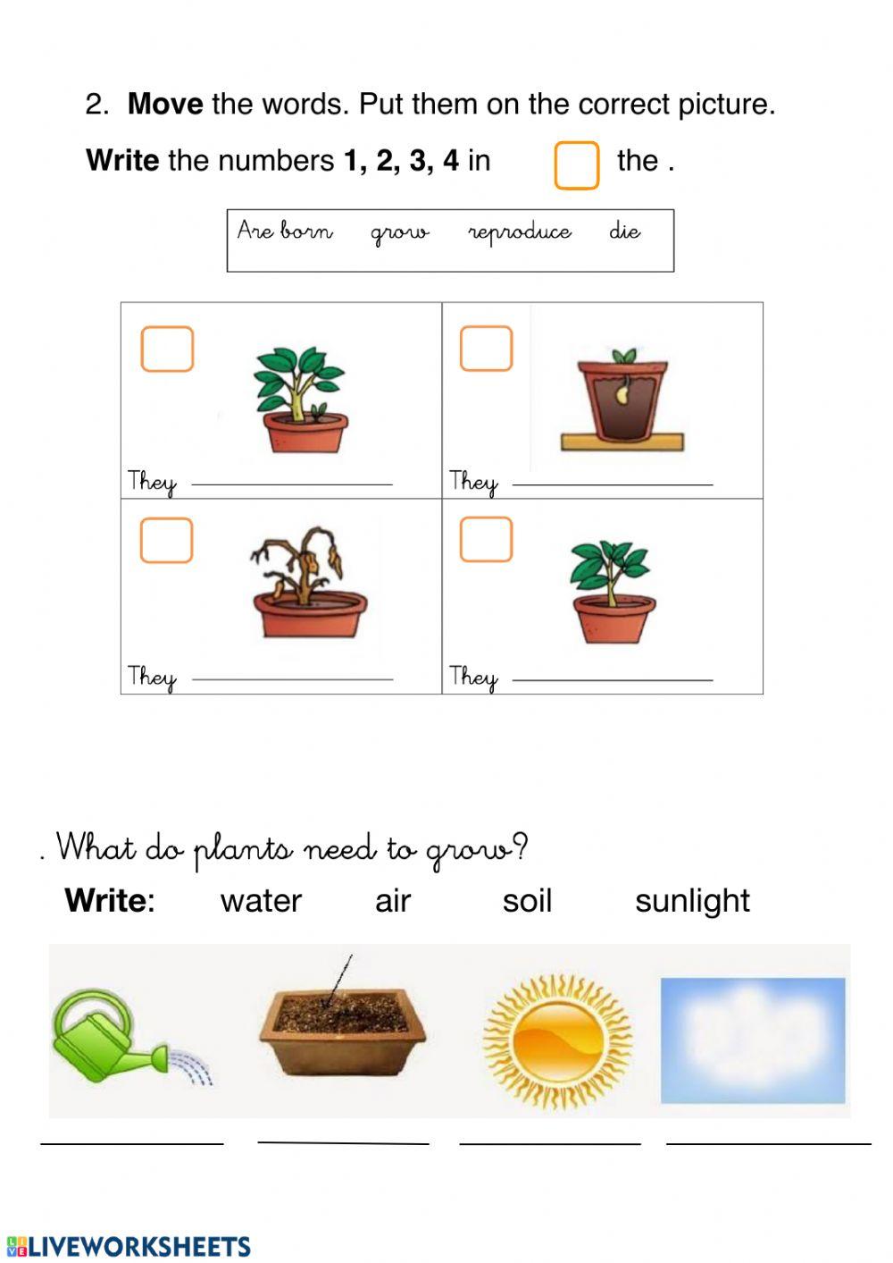 67386 Living things and plants ALI M