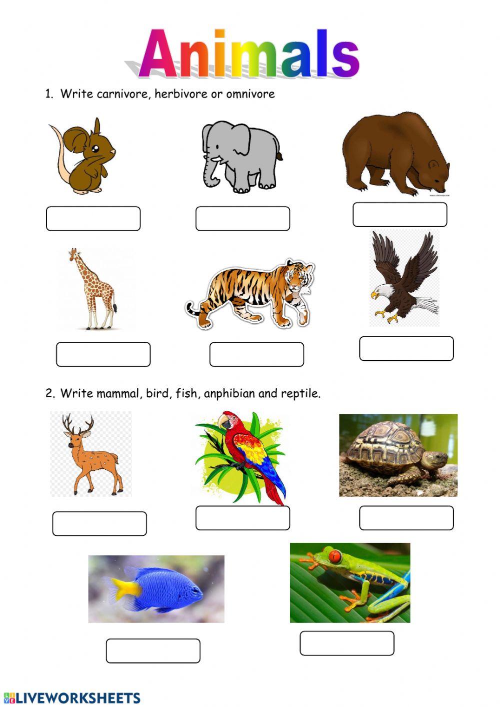 Tipos de animales Tipos de animales