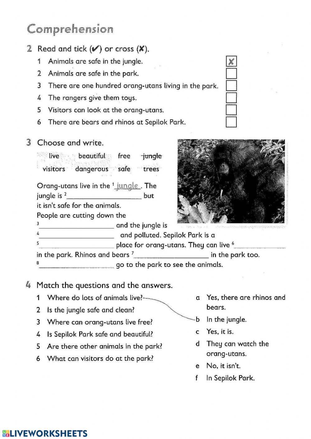 Reading and writing - A Safe Place