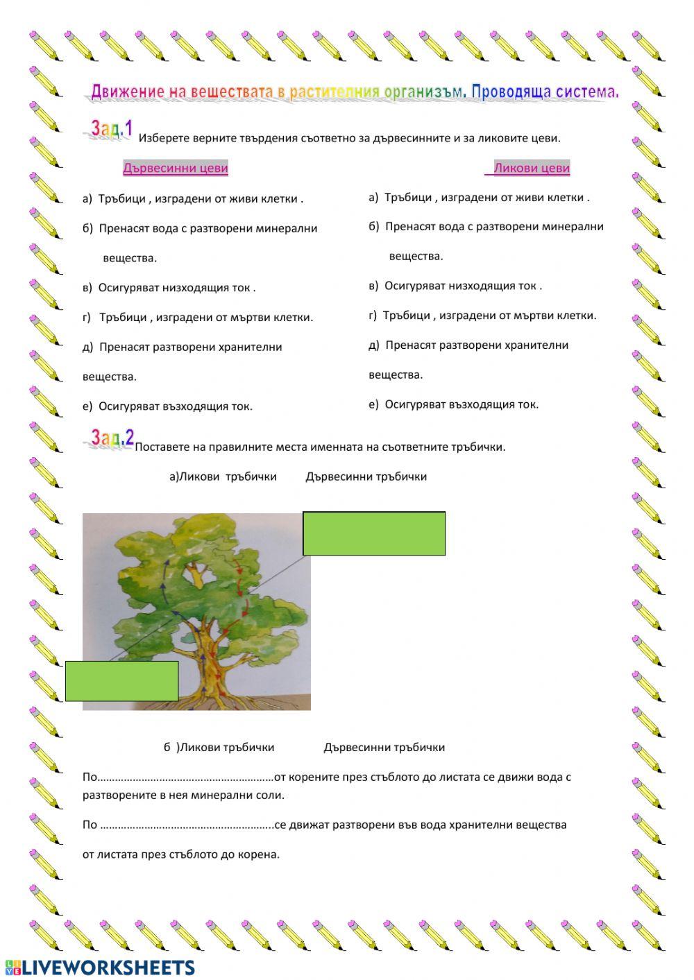 Проводяща система