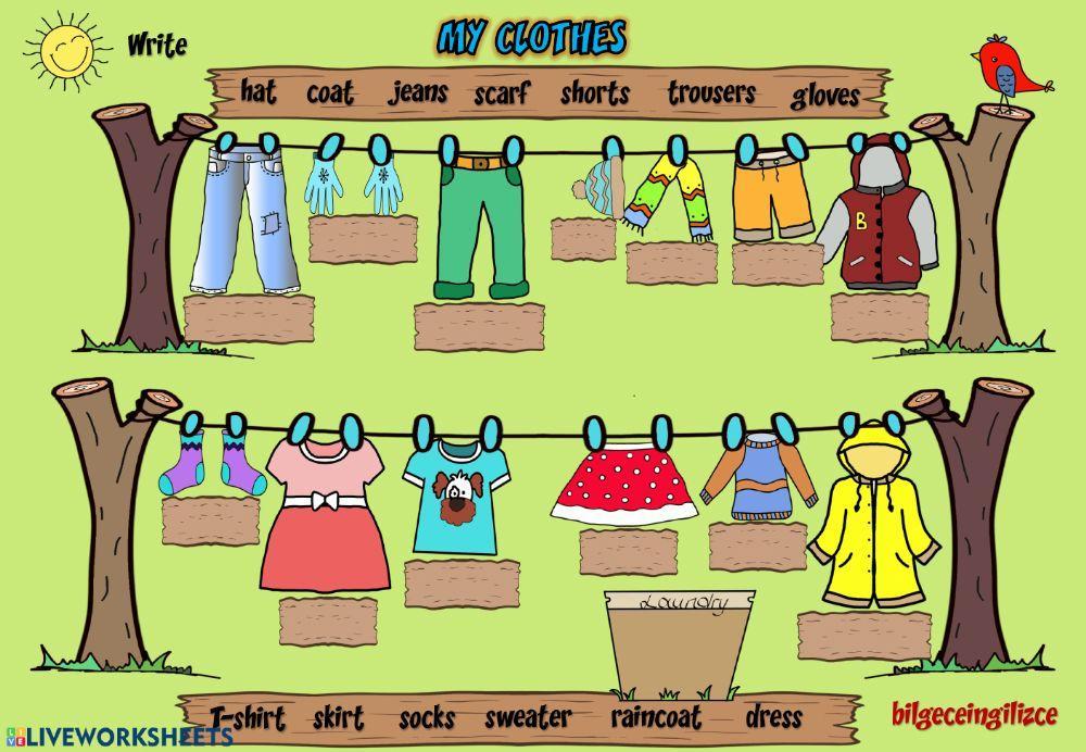 Clothes Clothes