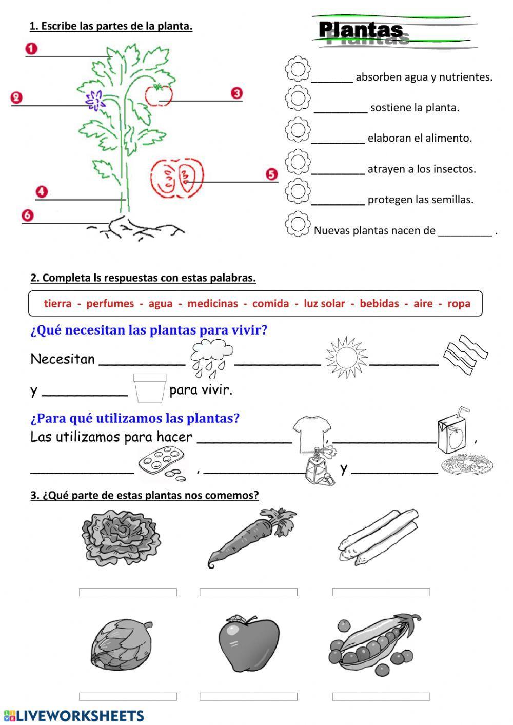 Plantas