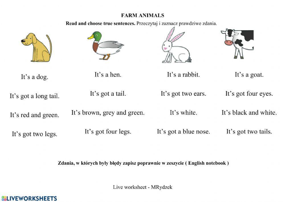 Farm animals
