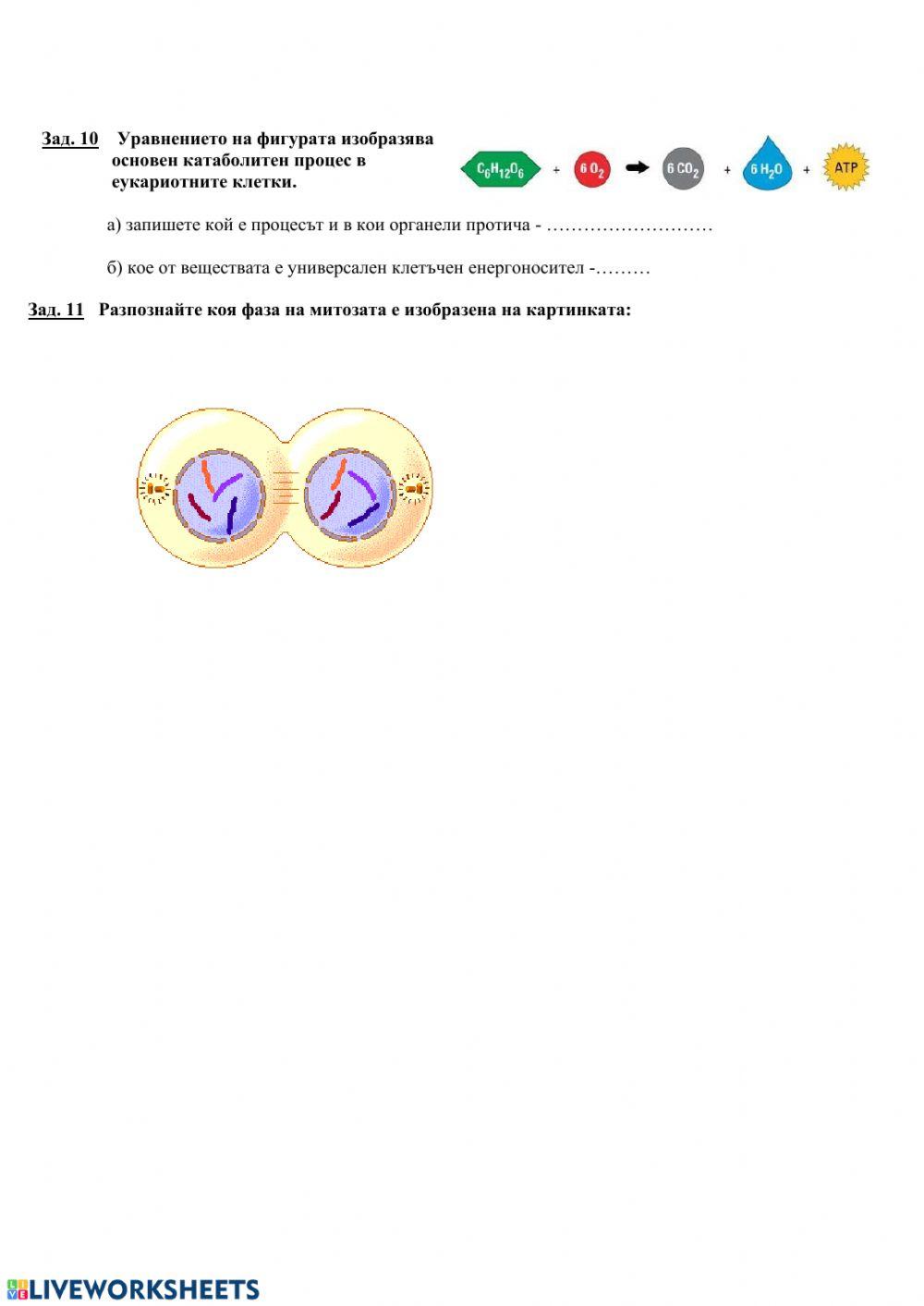 Биология 10 клас