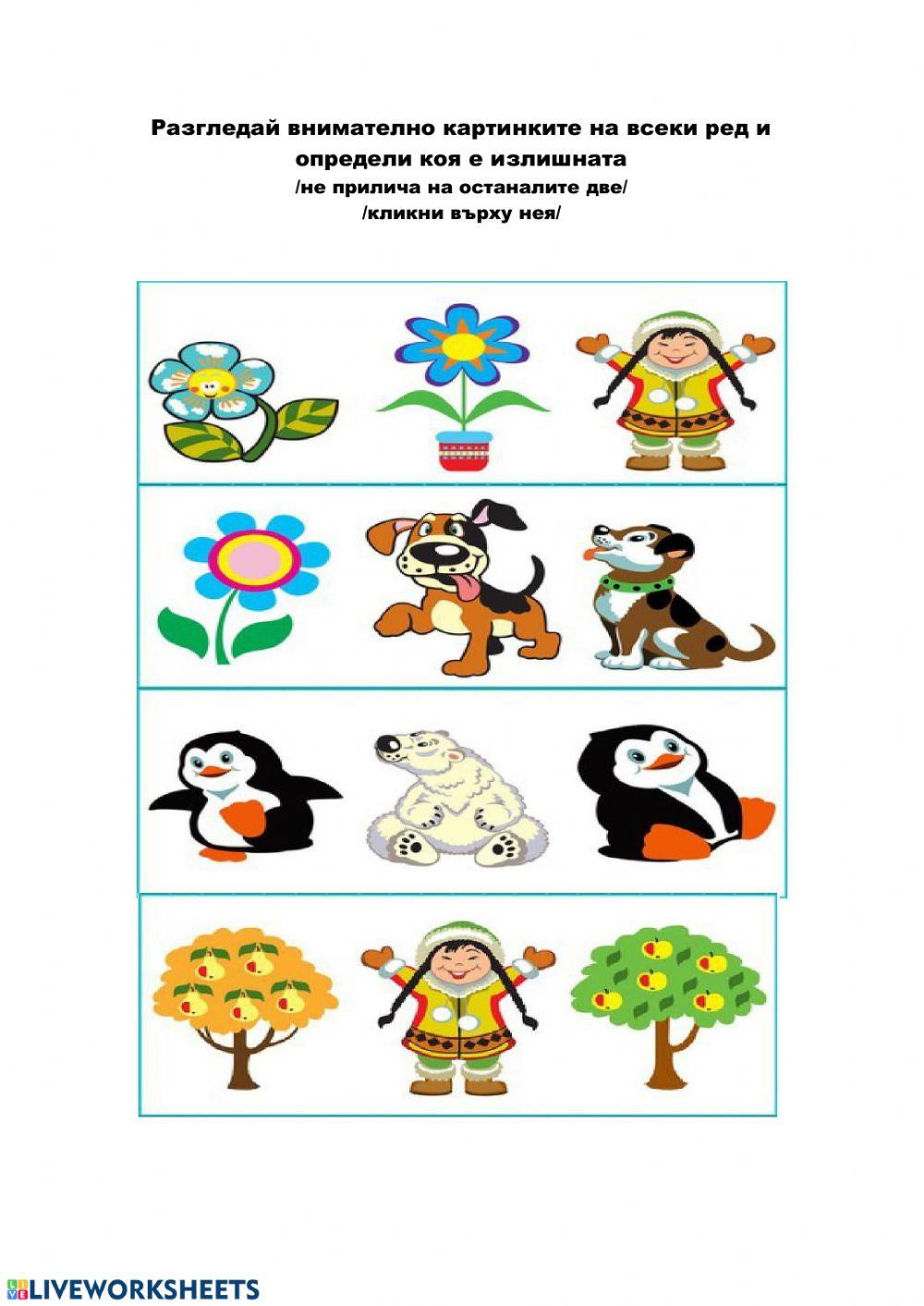 Третият излишен