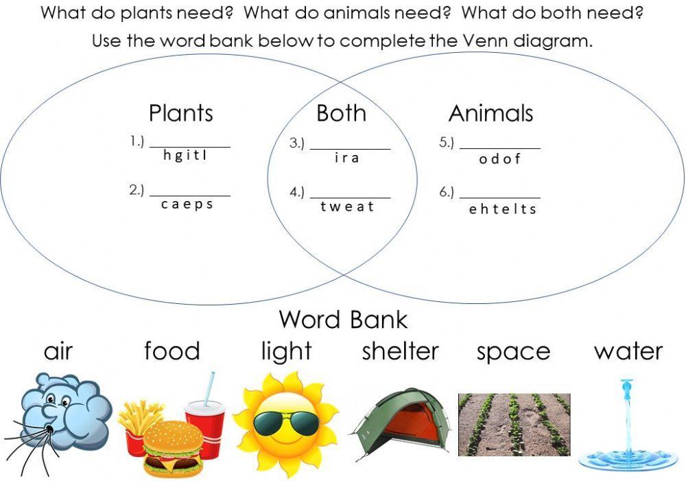 Needs of Plants and Animals:  Venn Diagram