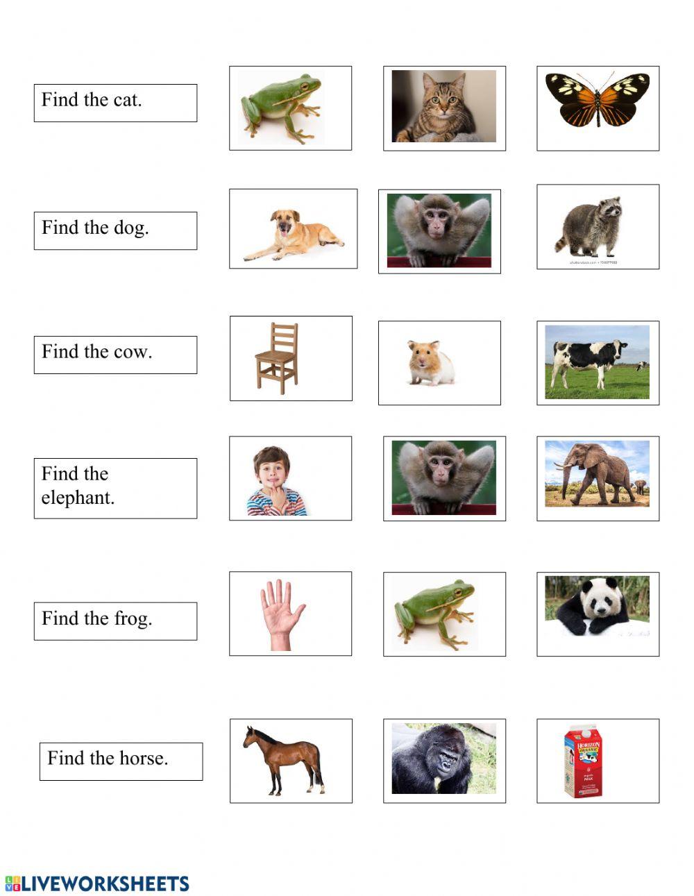 Identify Animals (C17-G4)