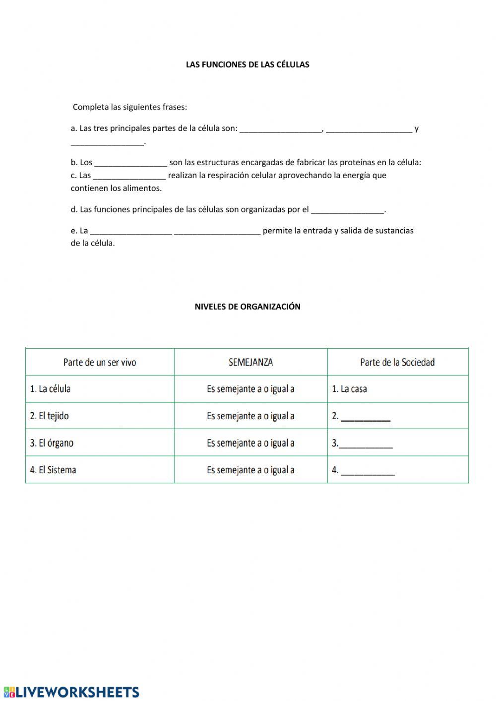 Las funciones de la célula
