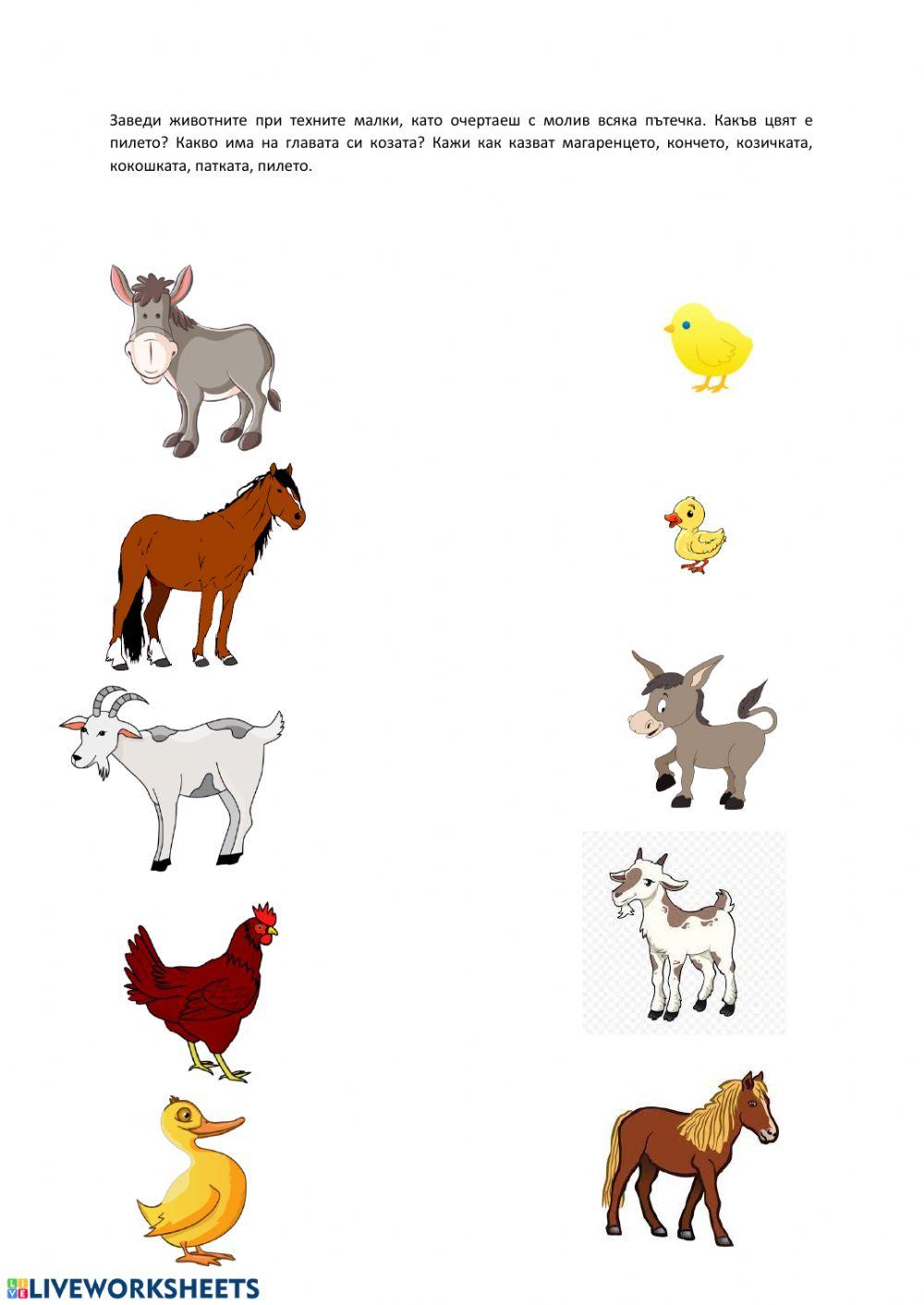 Малките животни