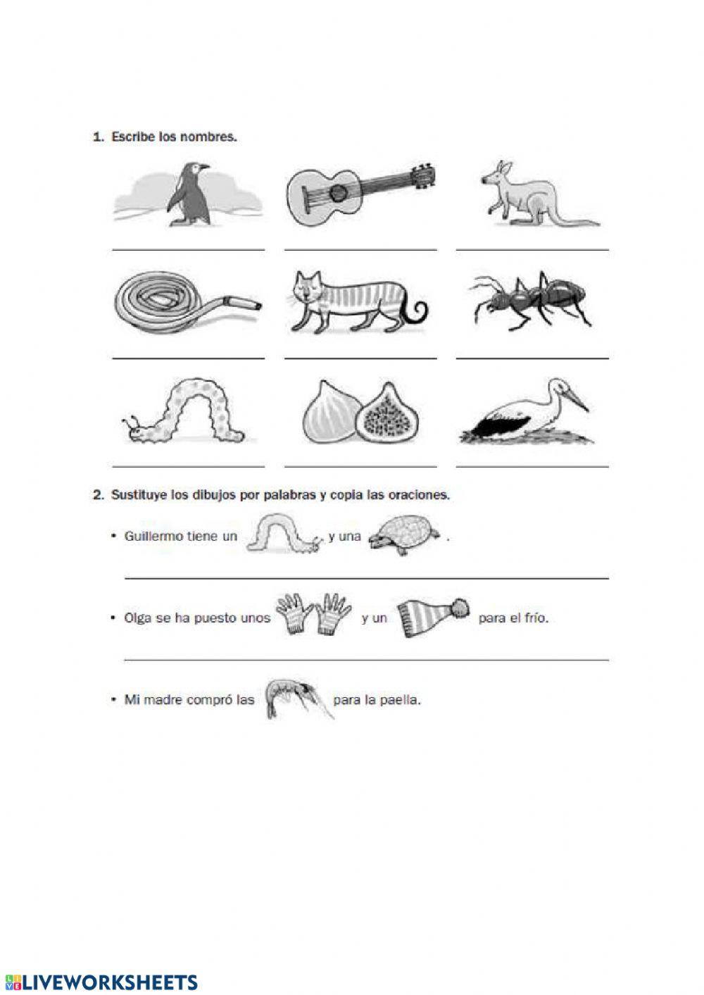 Ortografía ga go gu gue gui güe güi