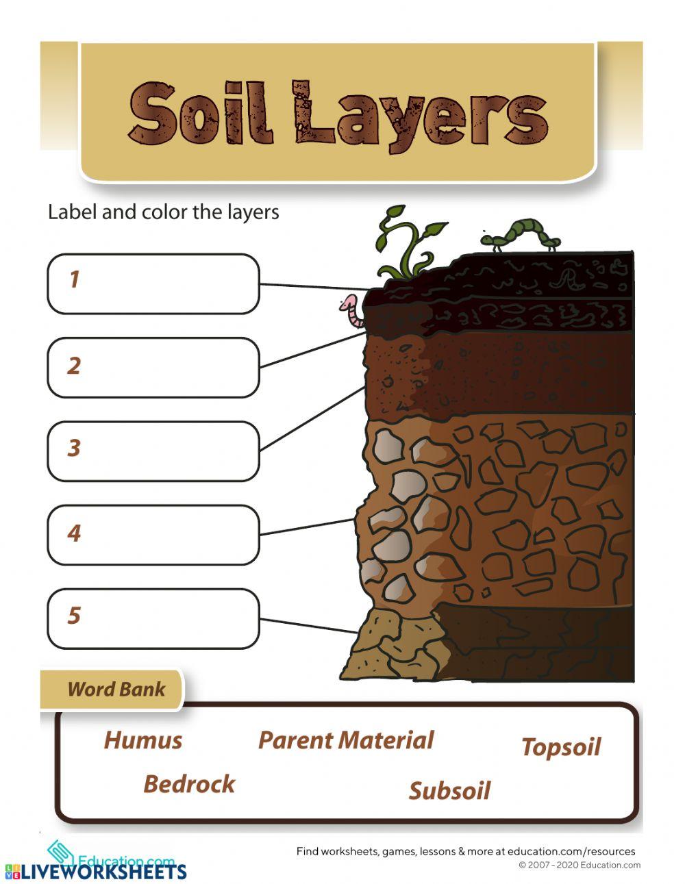 Soil 5420422 Ferrarielen Live Worksheets soil-5420422-ferrarielen-live-worksheets