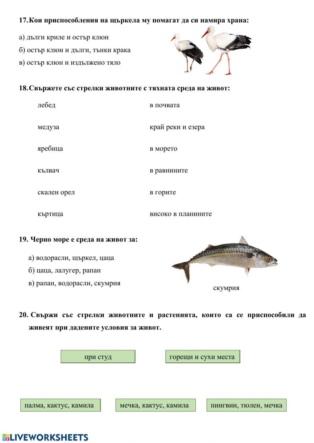 Самостоятелна работа - Живи организми