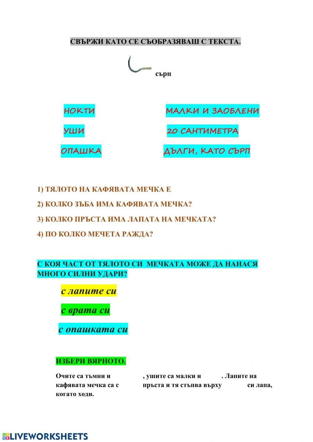 Кафява мечка