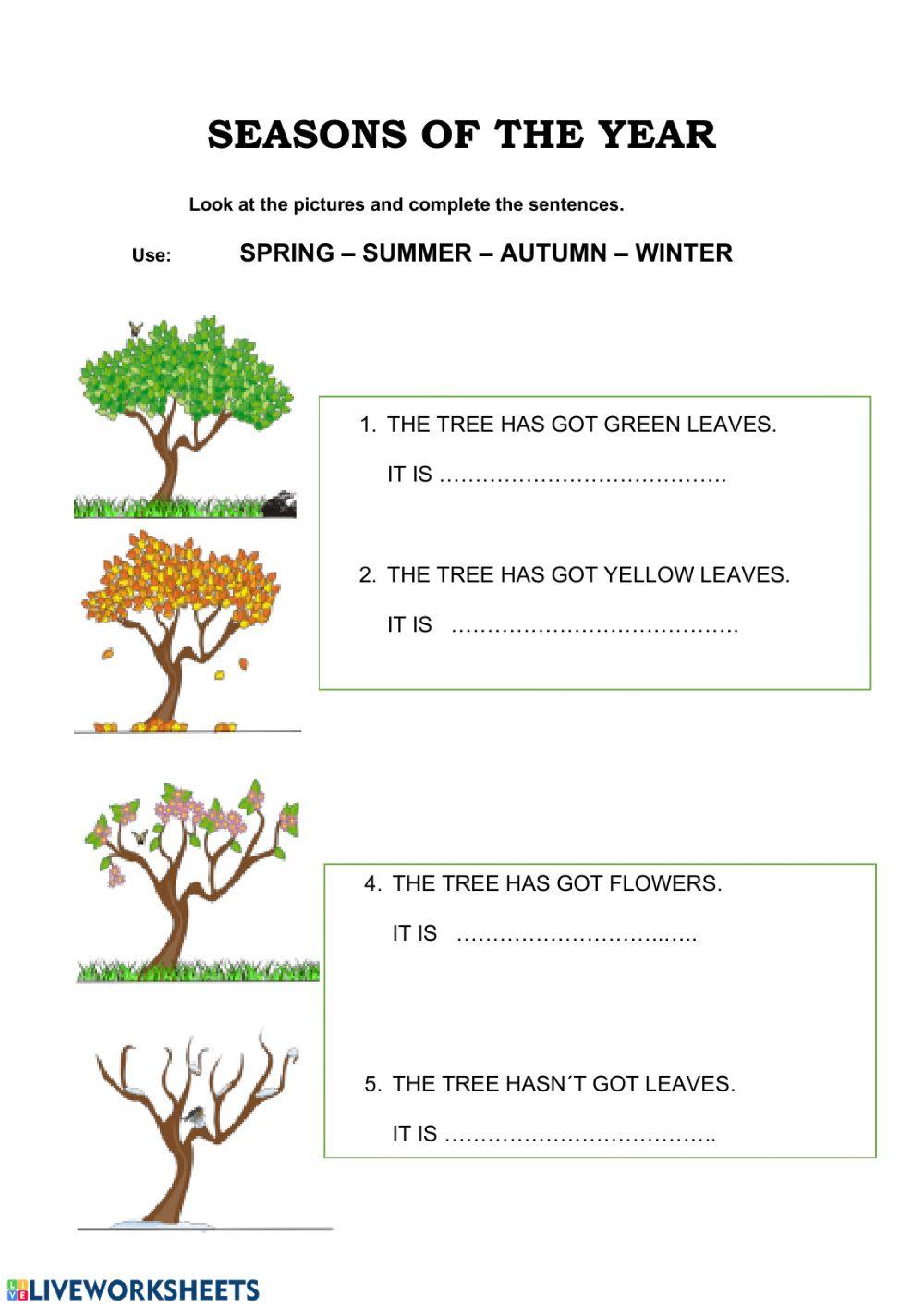 Andrea Season Trees