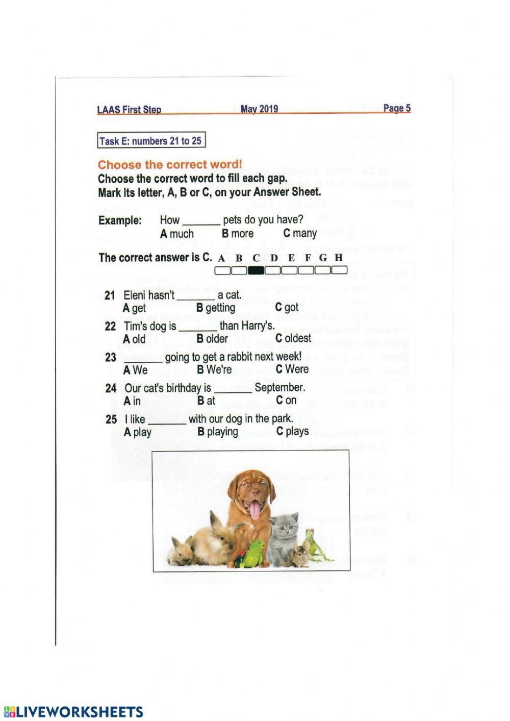 First Steps -Grammar