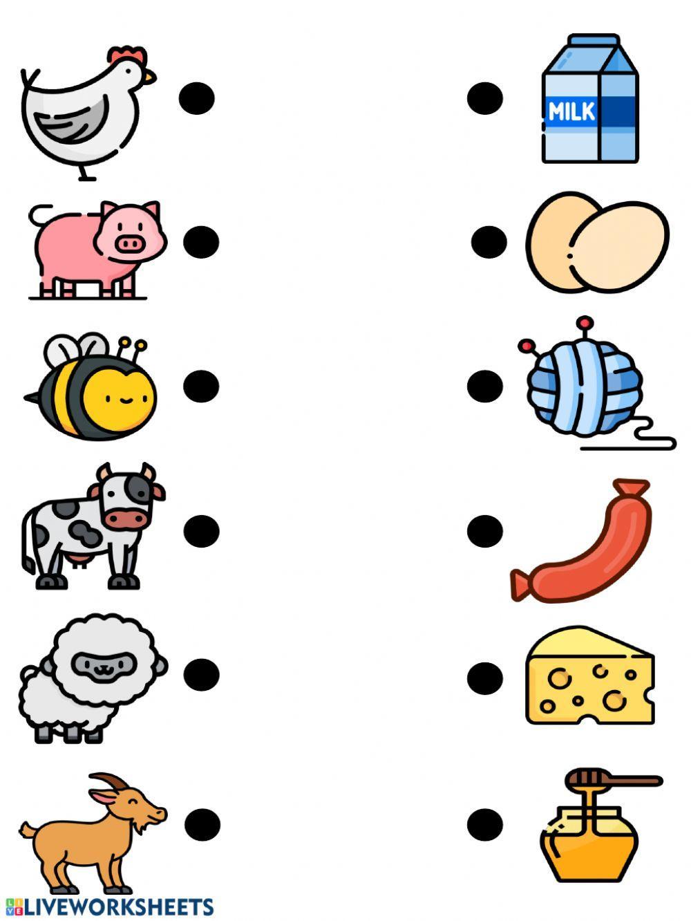 Farm animals and their products Farm animals and their products