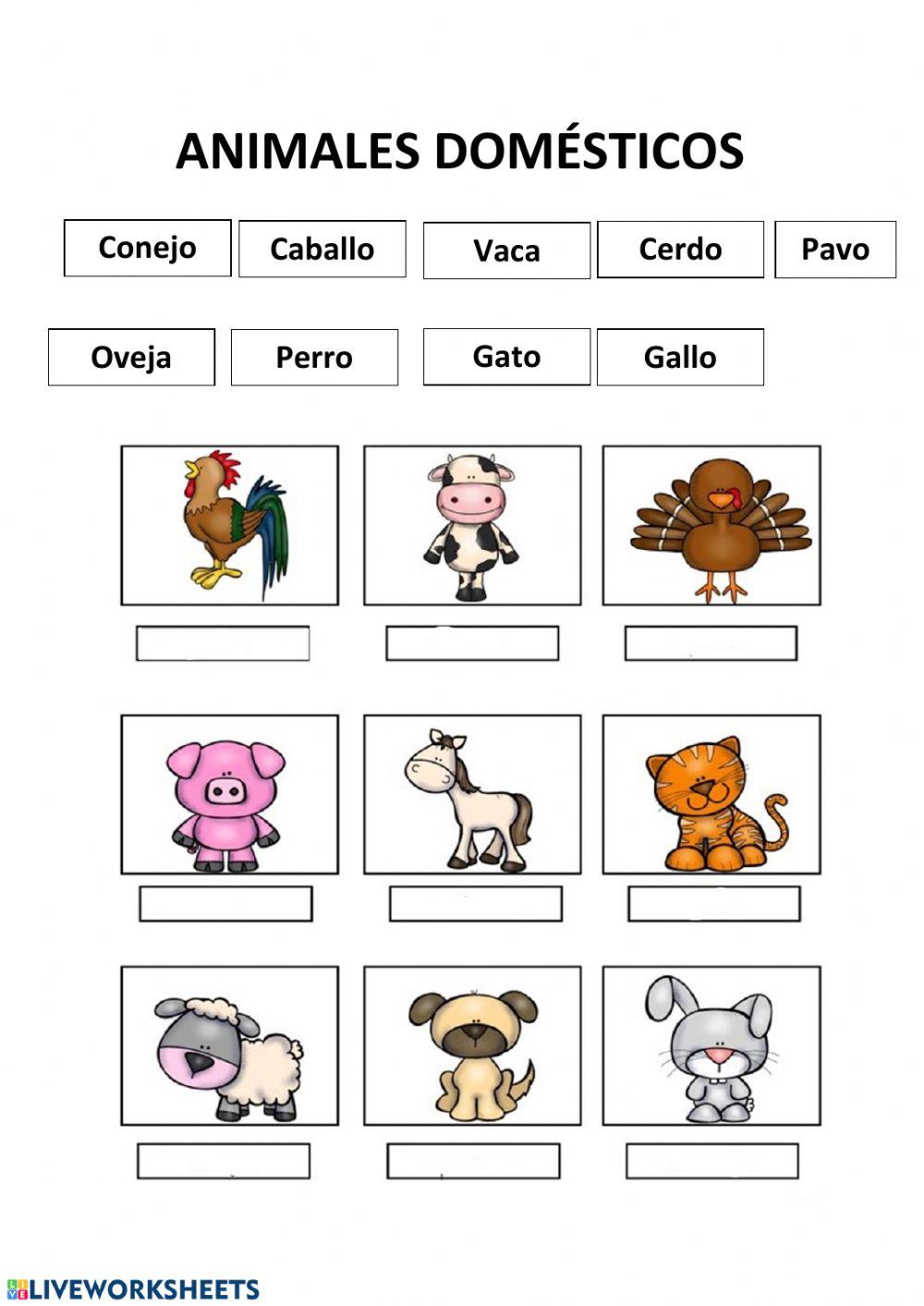 Animales domésticos