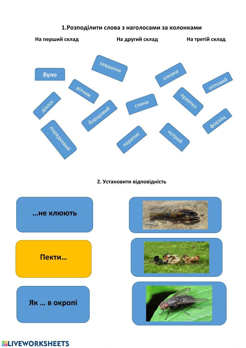 Урок 1 activity | Live Worksheets
