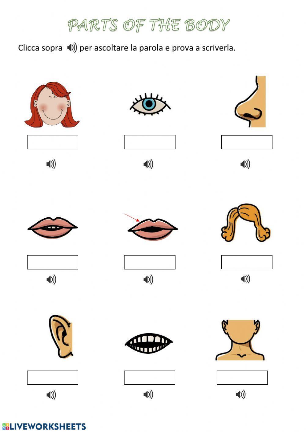 BodyParts-ListenWrite