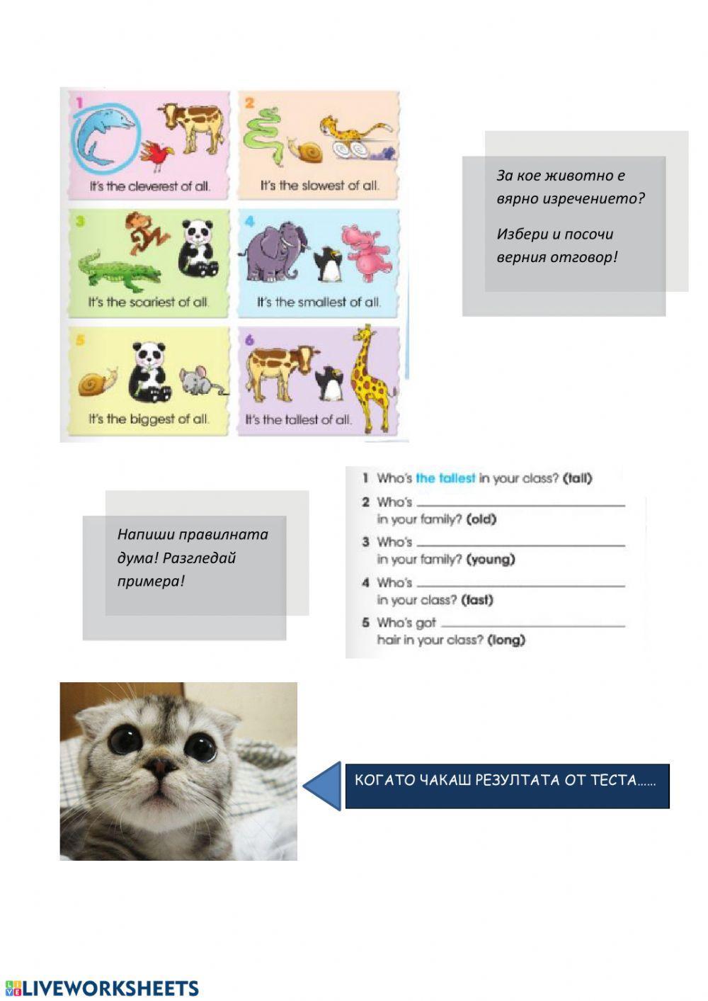 Превъзходна степен