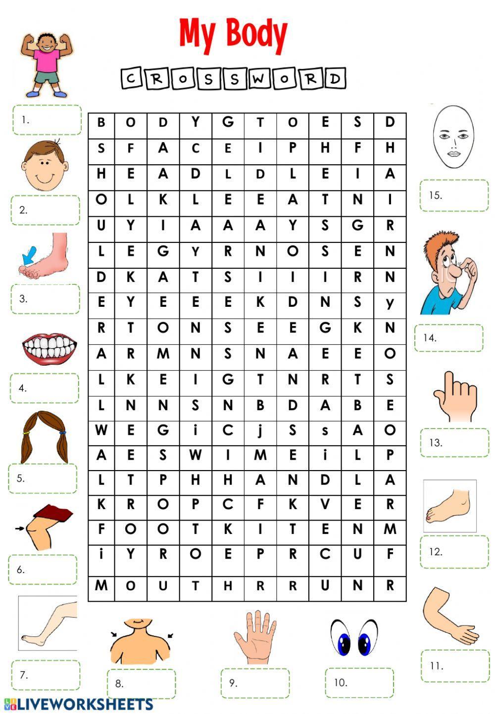 Body Puzzle worksheet | Live Worksheets body-puzzle-worksheet-live-worksheets