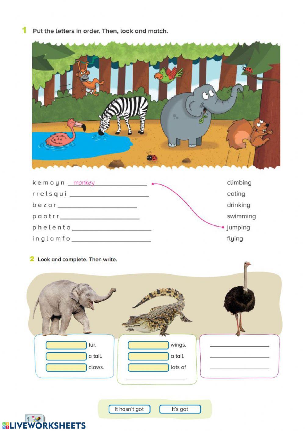 Revision 3º - unit 4