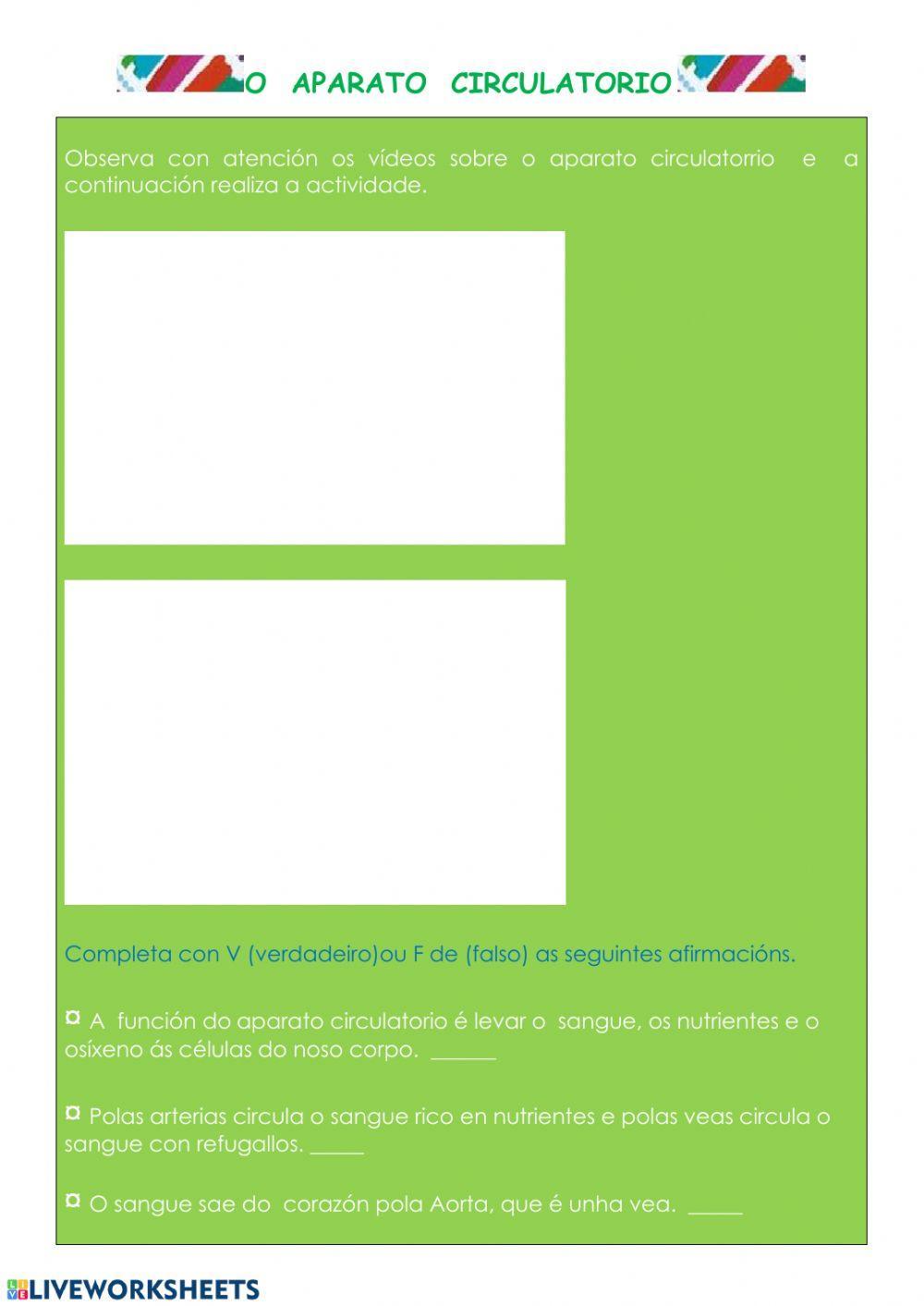 Aparato circulatorio