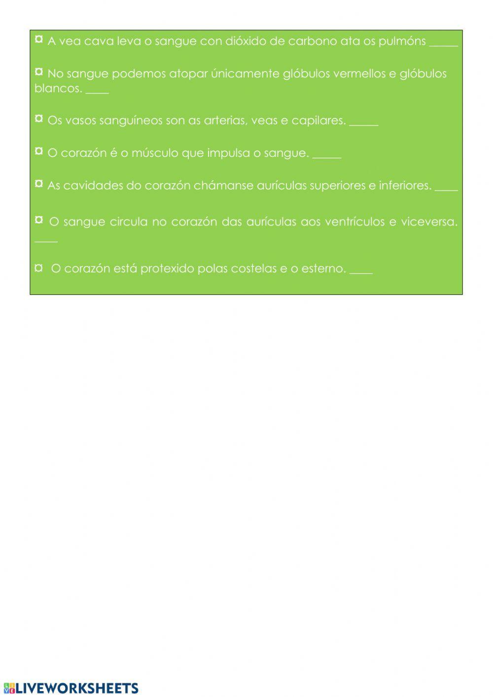 Aparato circulatorio