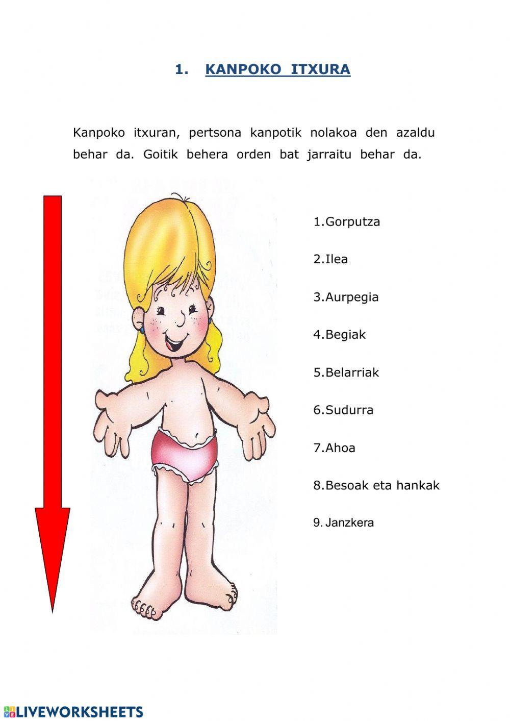 Deskribapena (kanpoko itxura)