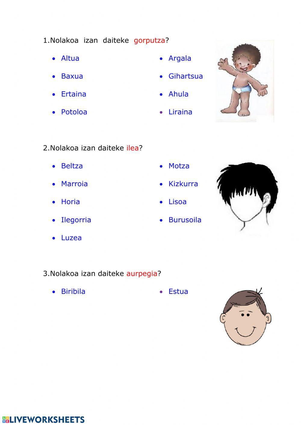 Deskribapena (kanpoko itxura)