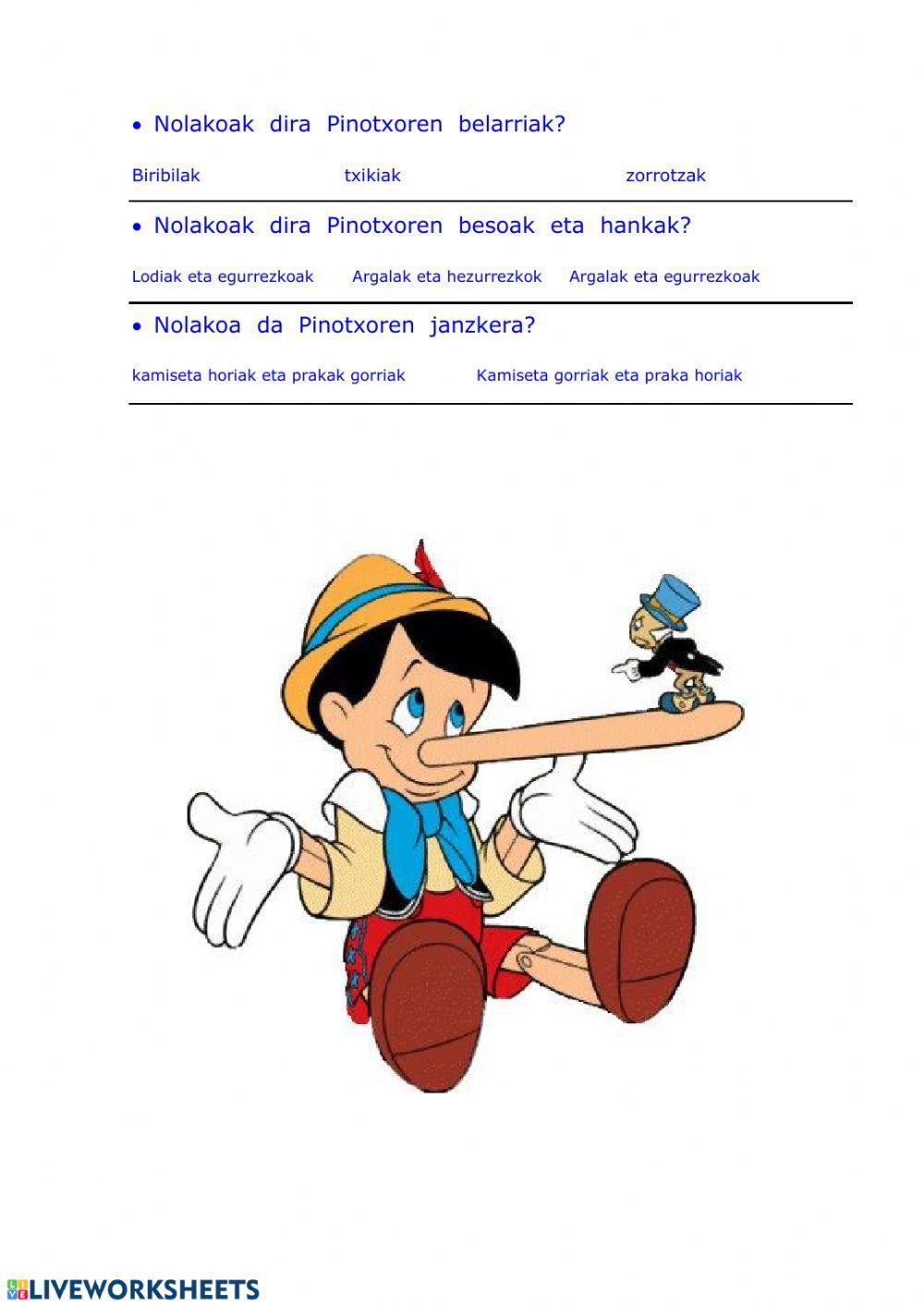 Deskribapena (kanpoko itxura)