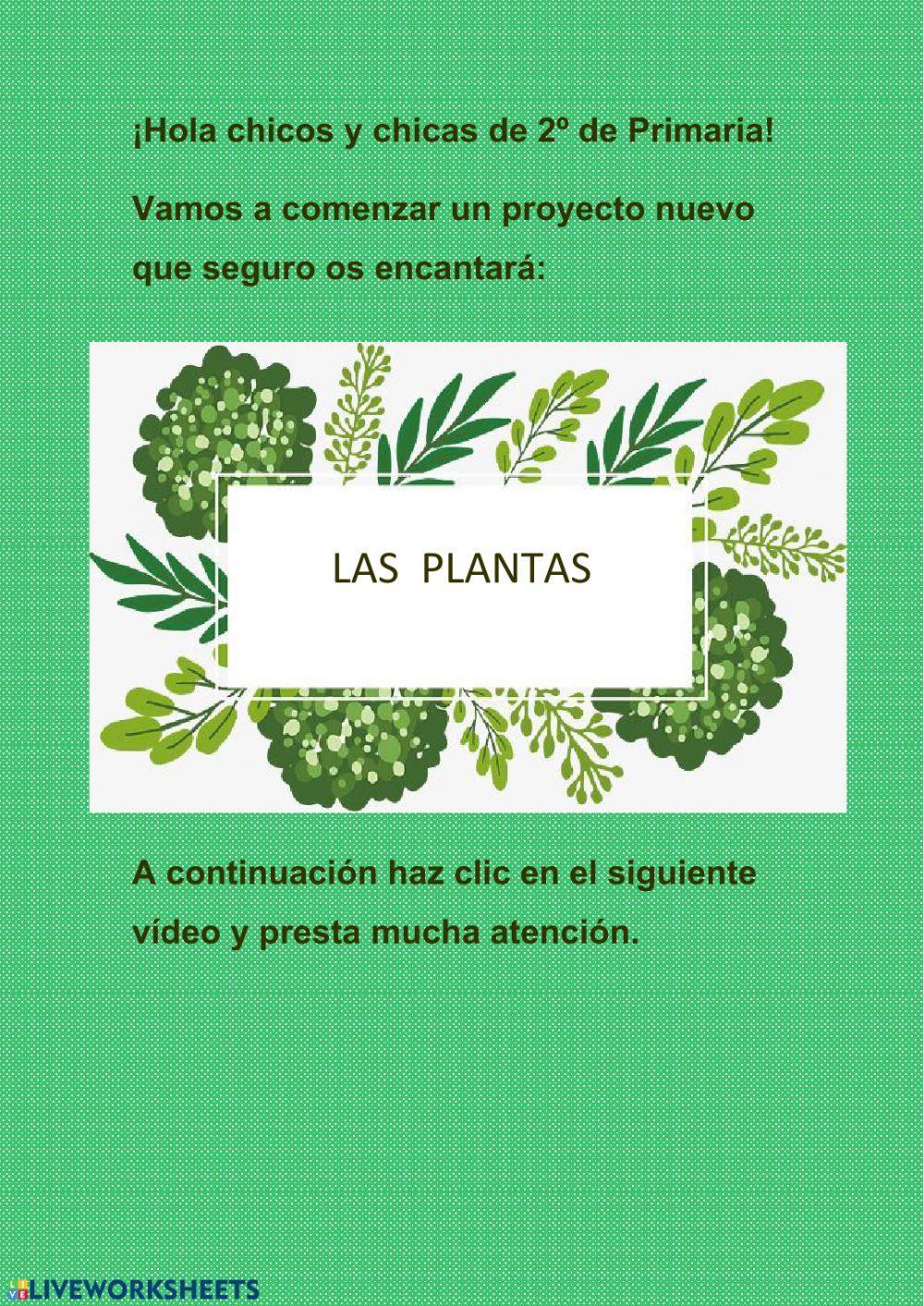 Video las plantas