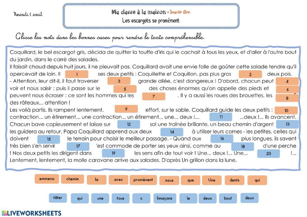 Lecture les escargots se promènent