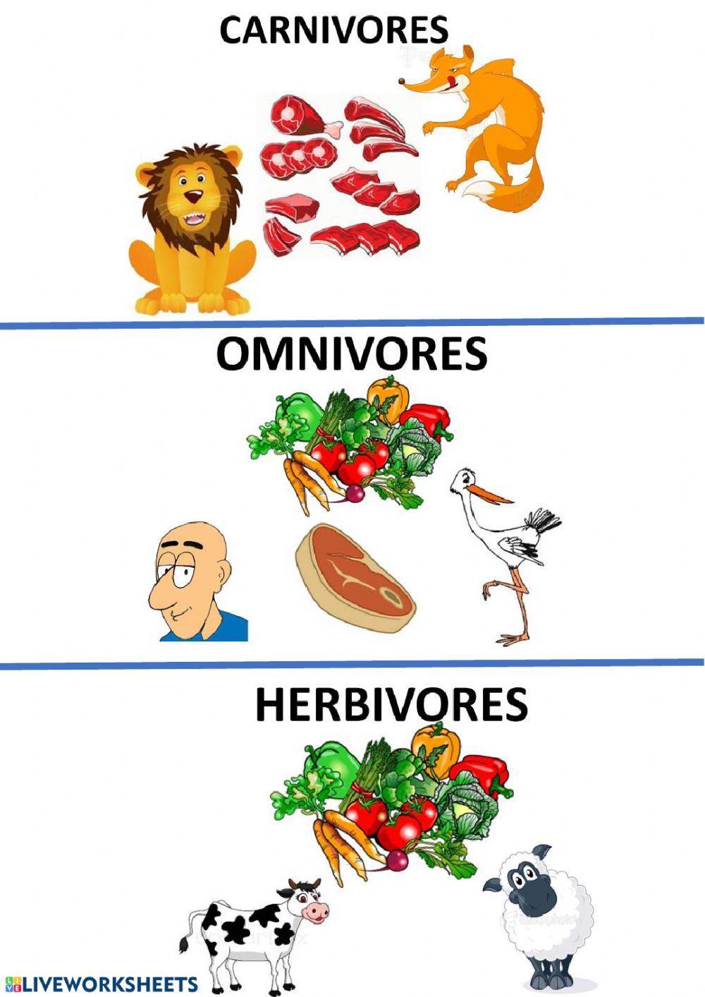 Omnivores, carnivores, herbivores