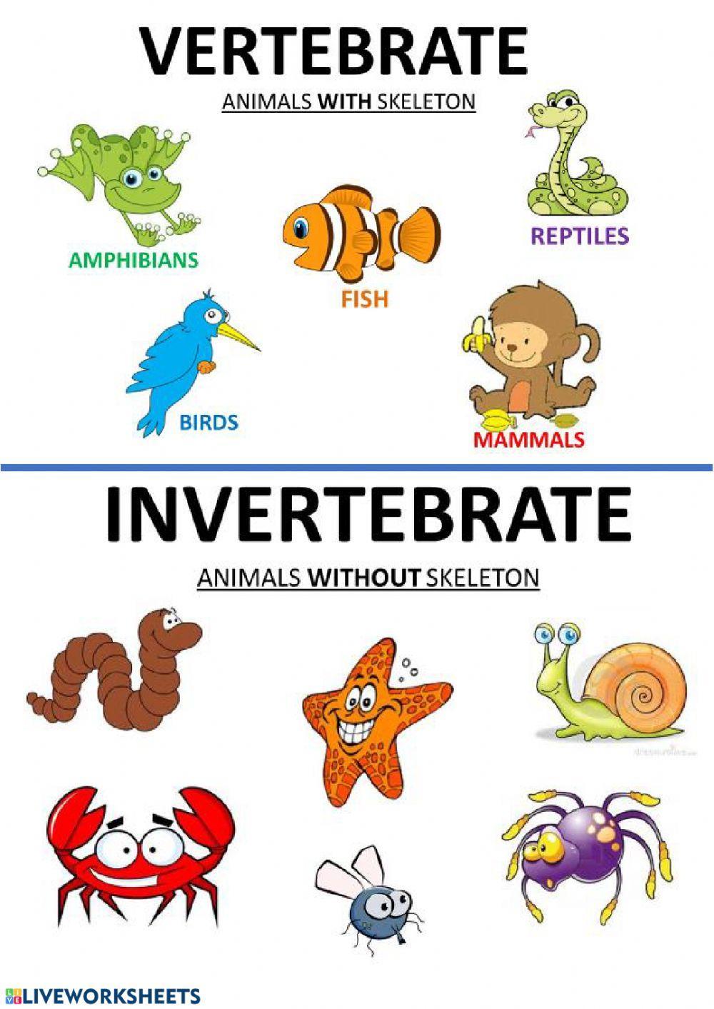 Vertebrate, invertebrate