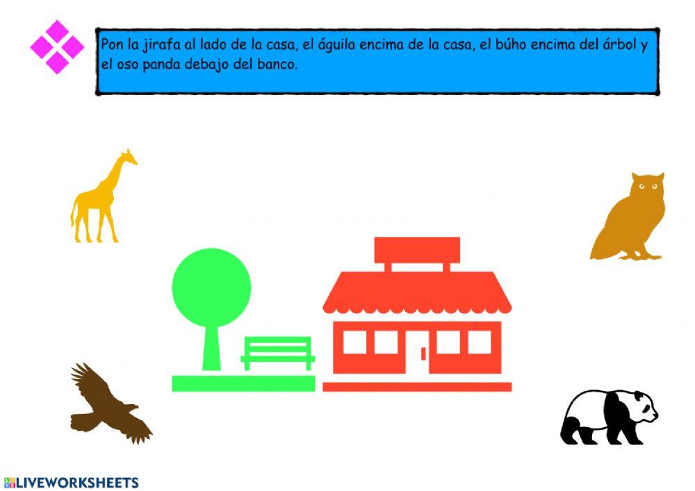 Conceptos espaciales