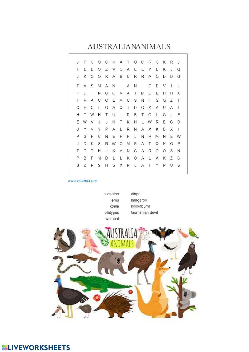 Australian animals wordsearch