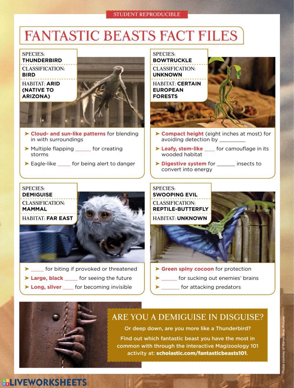 Fantastic Beasts Activity 1