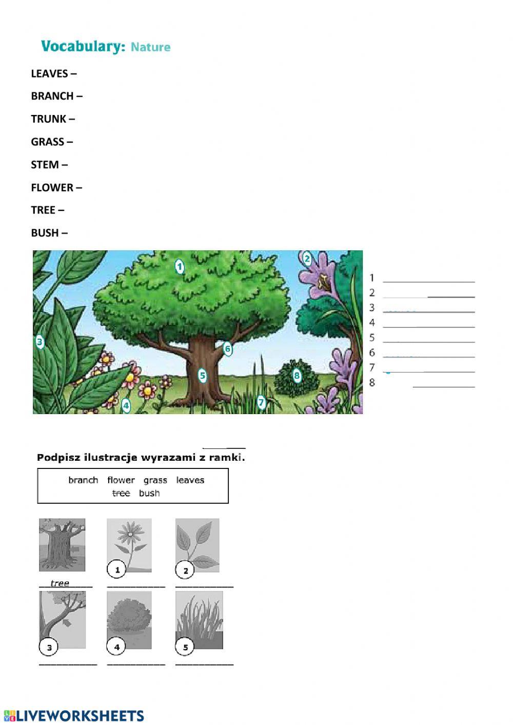 SZÓSTA KLASA PONIEDZIAŁEK