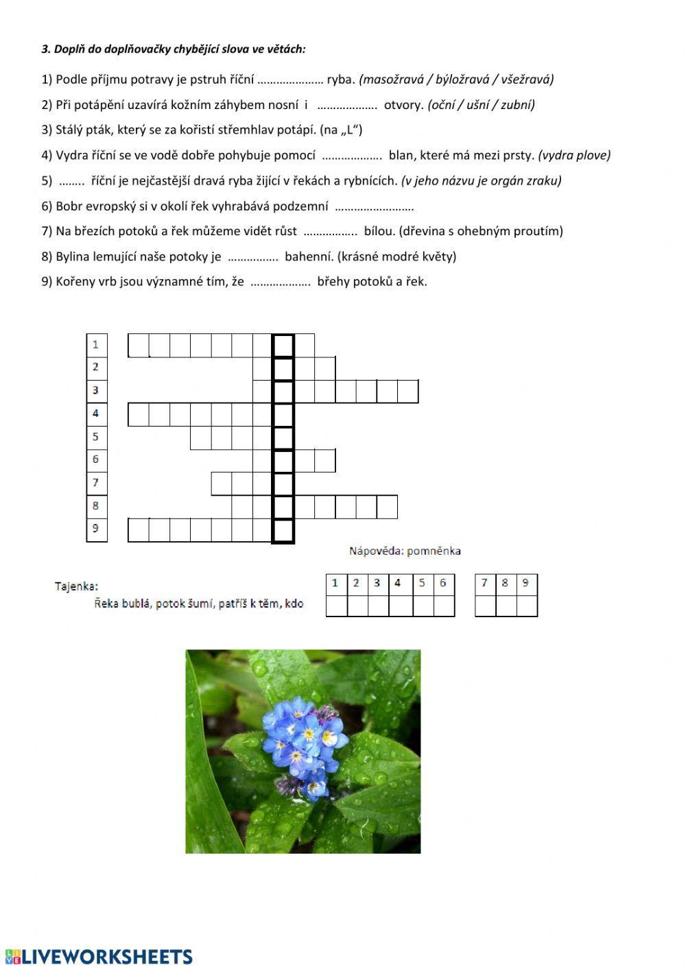 Ekosystém potok a řeka