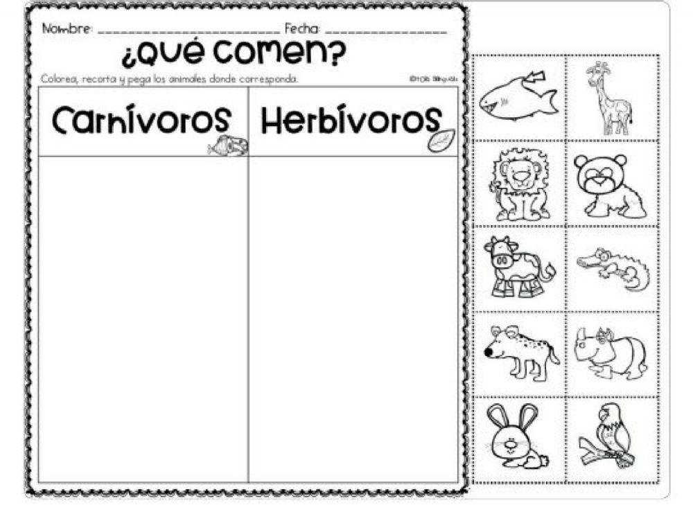 Clasificación de animales: carnívoros y herbívoros