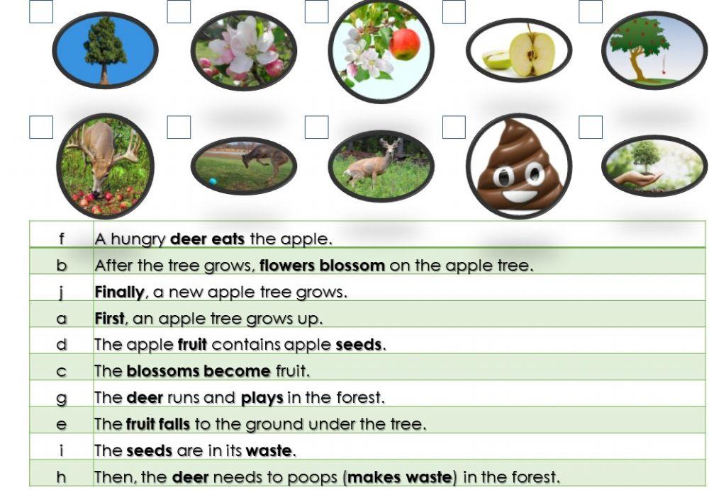 Seed Dispersal - Deer