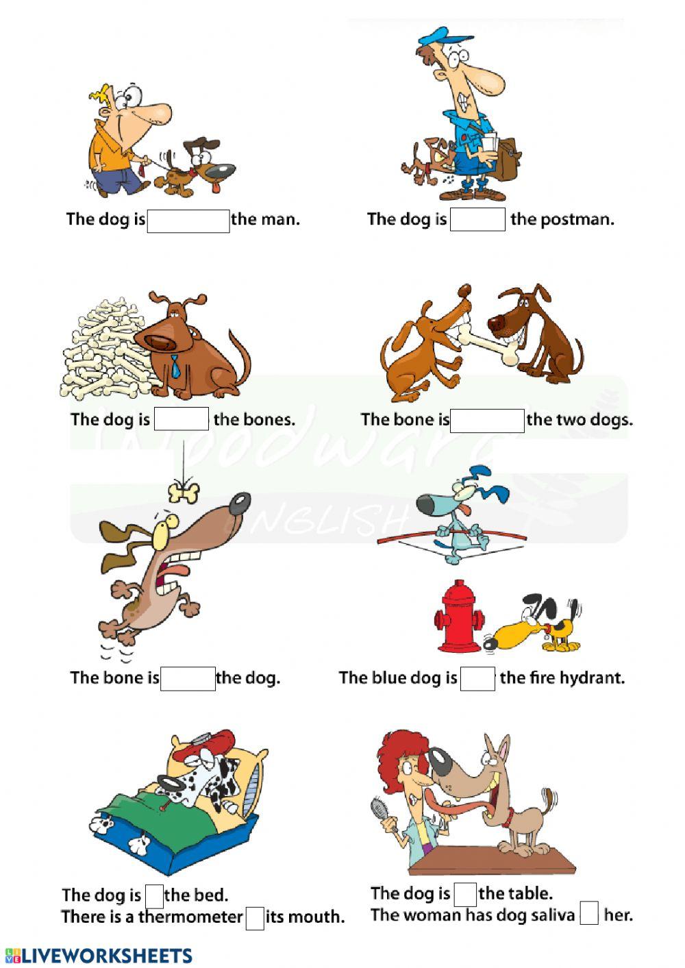 Prepositions of place