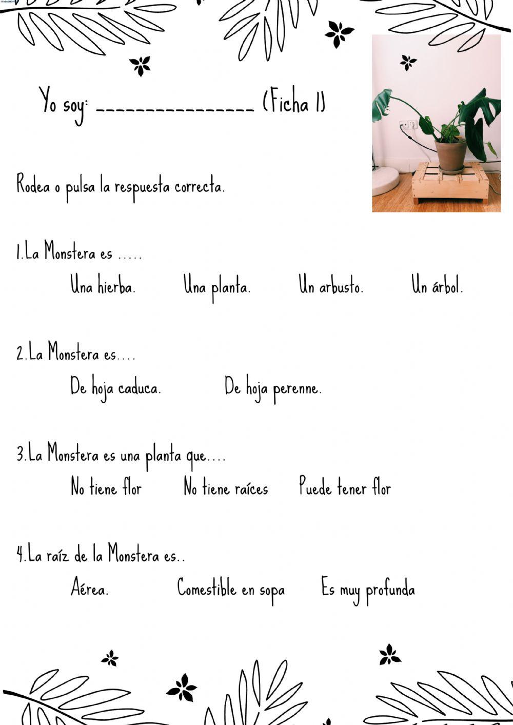 Ficha 1 planta noelia