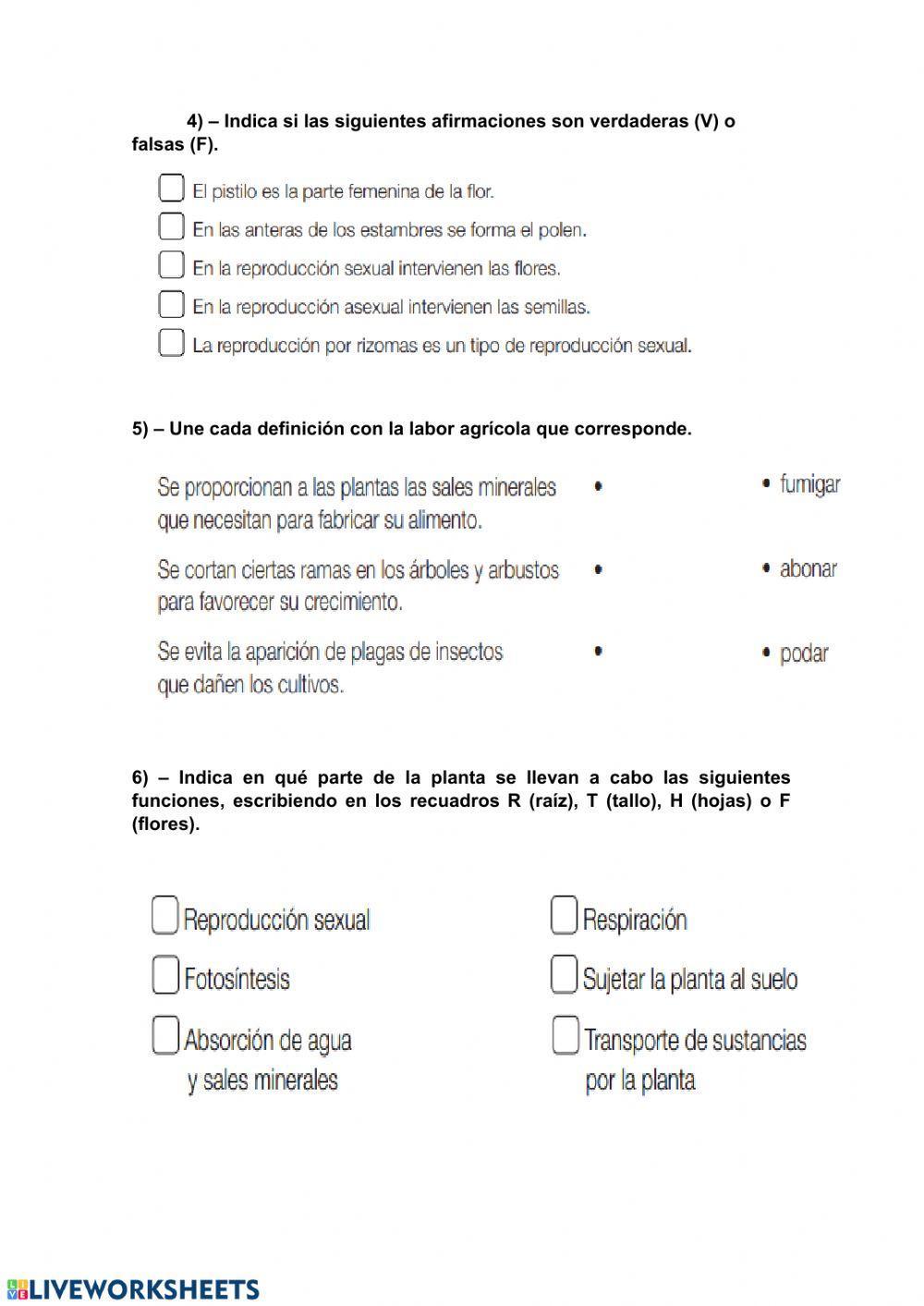 Control tema 4 naturales