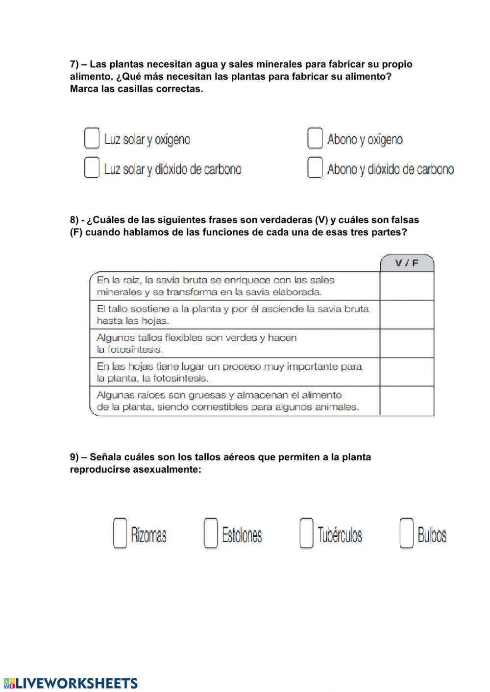 Control tema 4 naturales
