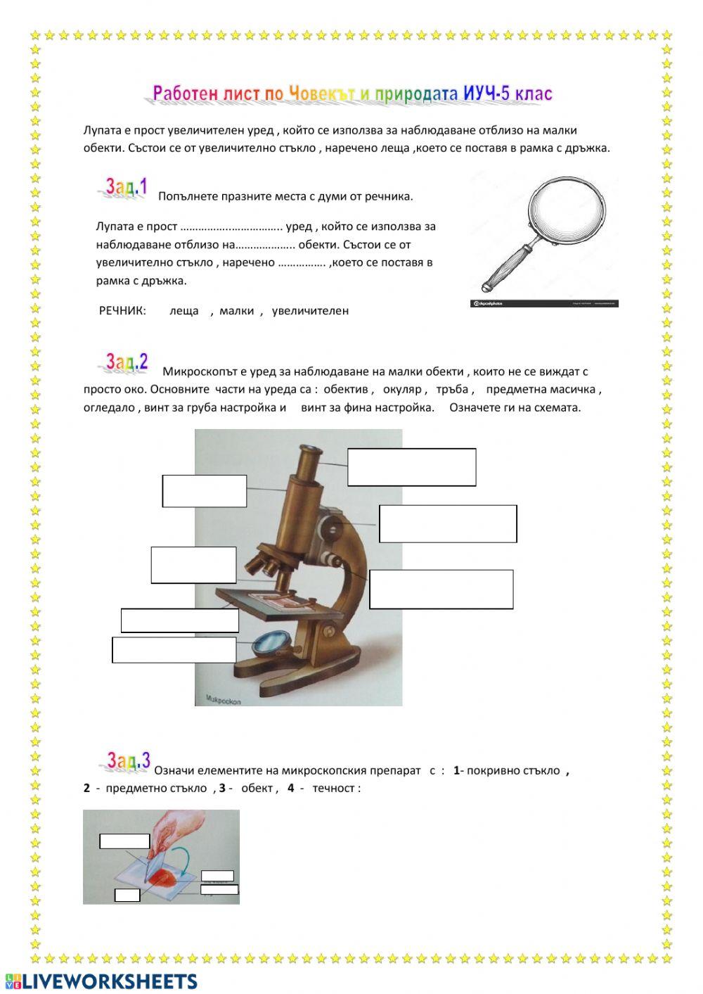 Лупа и микроскоп