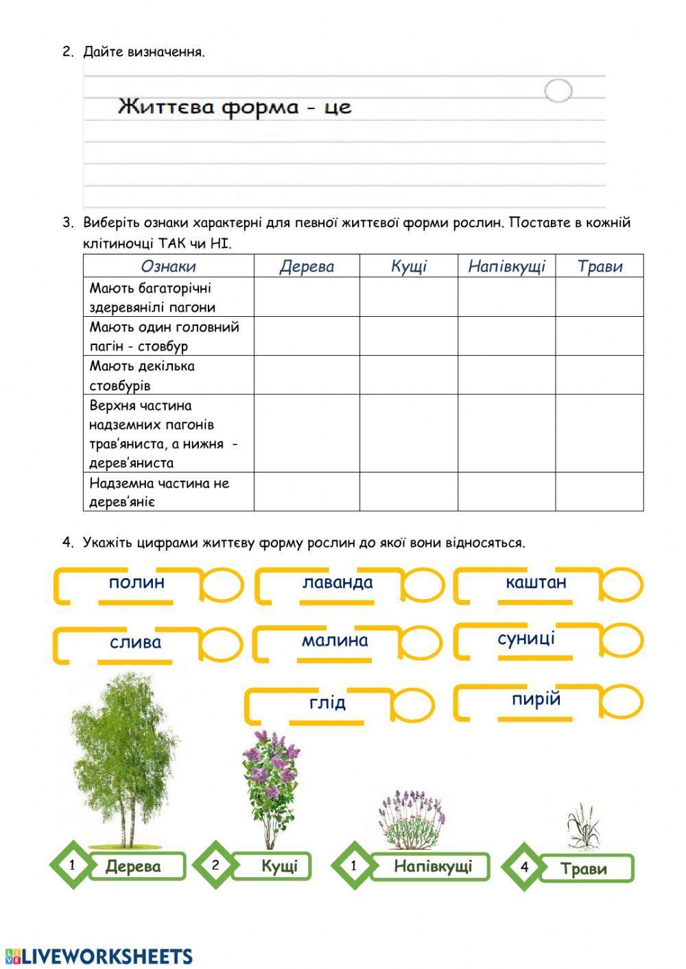 Екогрупи рослин
